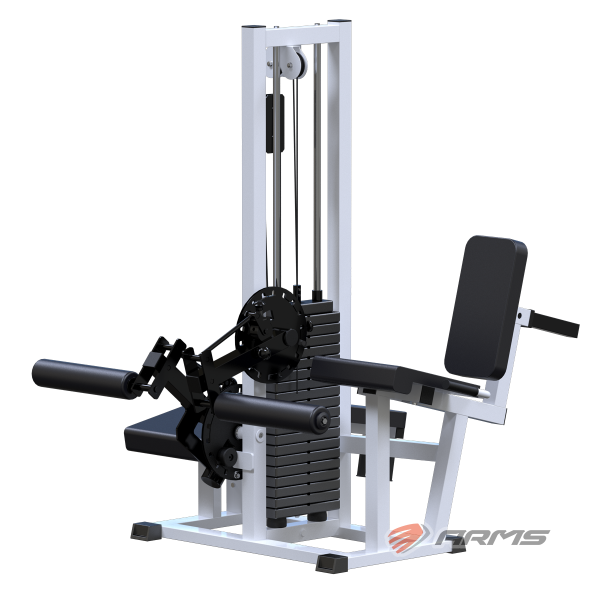 ar053_razgibanie_nog_sidya__sgibanie_nog_lezha_stek_100_kg