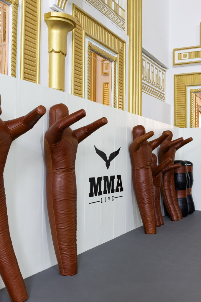 «MMA LIFE GYM DUBAI» 